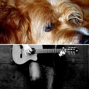 You Ain't Nothing But A Hound Dog