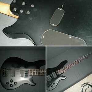 Schecter Diamond Damien 4