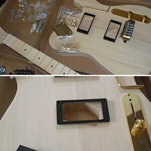 Tele-project