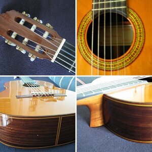 taurus Lutherie