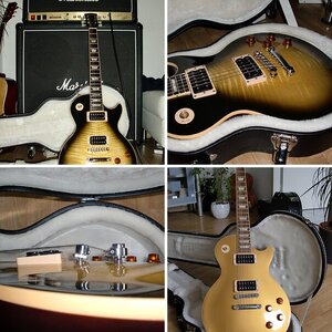 Meine neuen Baby's