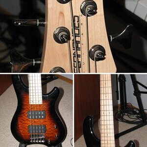 Fernandes Tremor 5X TSB