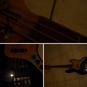 Bass Tokai
