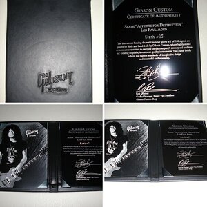 Gibson Slash Signature "Appetite For Destruction" 