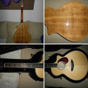 Breedlove Atlas Stage 350/EF-12