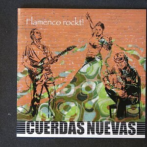 Flamenco Rockt