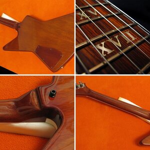 Siggi Braun Explorer