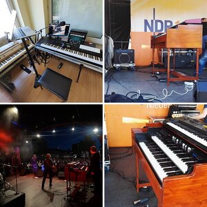 Orgeltier Gear