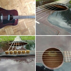 D25M