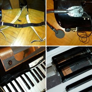 Frischzellenkur für eine Hohner Lucia III