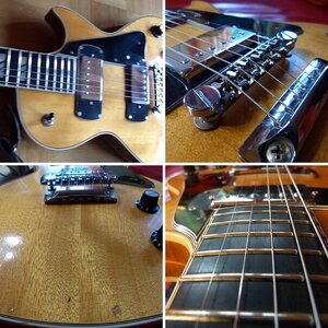 Framus Les Paul S-360 natur The German Beauty of the no Burst