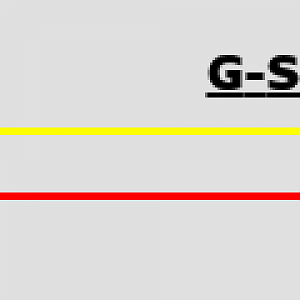 G-System