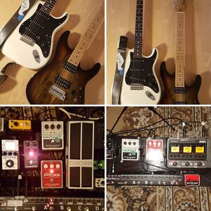 Gear