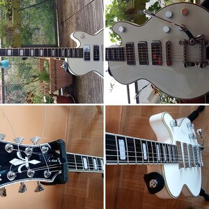 Meine Hagstrom