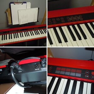 Roland Go:Piano