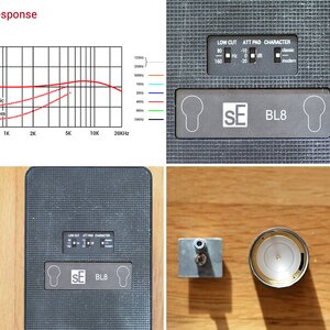 sE Electronics BL8