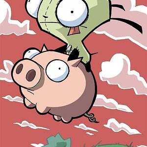 gir.pig.flying