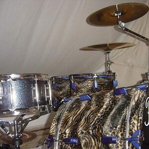 Erstes Tigerdrumset