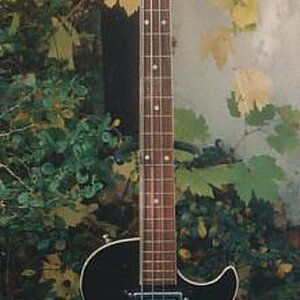 Klira LP Bass