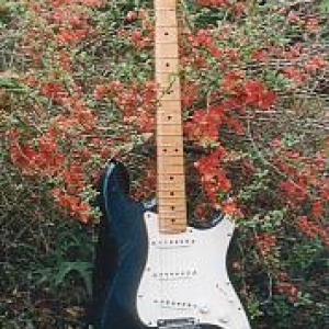 Stratocaster2137
