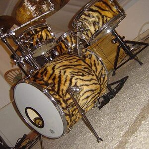 Tiger Hipgig