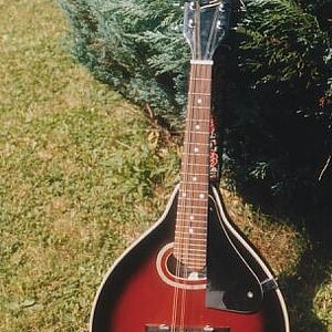 StaggMandoline (Bluegrass)