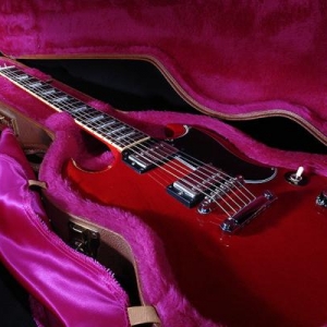Gibson SG im Pussyplüsch
