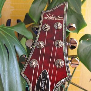 Hellraiser Headstock