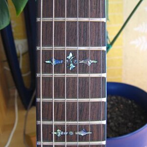 Hellraiser Inlays