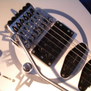 Meine Gitarren 035