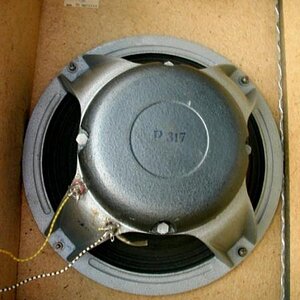 dynacordb90box212100watt07backspeakerrechts01