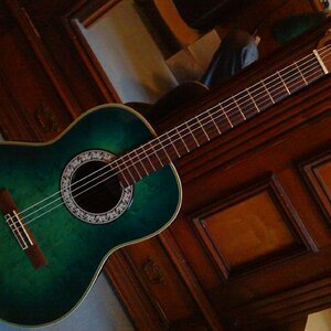 Ovation Nylonstring

Habe ich Idiot wegen einer Ibanez verkauft
Ich bereue!