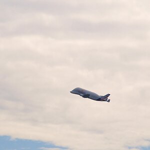 Beluga im Anflug auf Airbus Finkenwerder