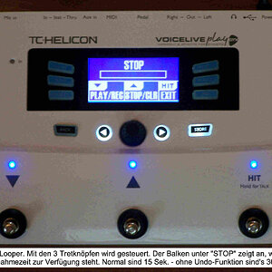 VoiceLive04b