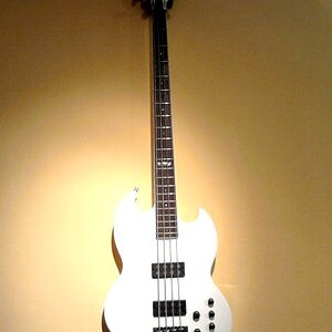 ESP - LTD 
VIPER 254 
2006