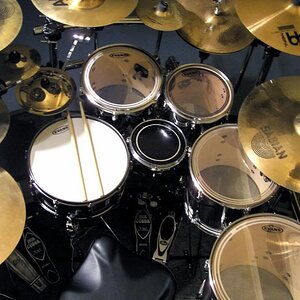 Pearl Ω Export