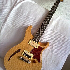 prs se custom se hollow body

wieder verkauft, Mensur zu kurz ;-)