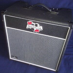 Blackheart Little Giant Combo

eine der besseren 5 Watt Combos, auch wegen dem guten 12"

Verträgt sich gu mit Pedalen