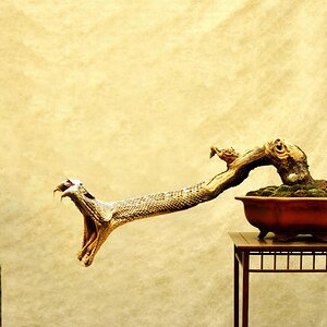 Deadly Bonsai