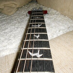 Bird-Inlays Nahansicht