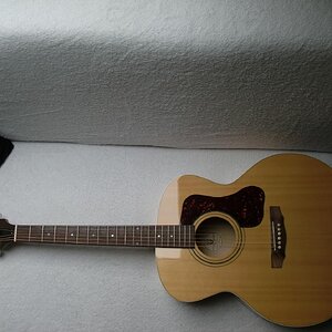 GUILD F-50 Standard
