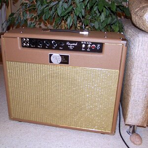 Das braune Tolex erinnert mich doch stark an ein Stoffwechselendprodukt, der Bespannstoff kann es ein wenig abmildern, der Sound absolut! 

Es ist nach meiner Erfahrung noch NIE die Anzahl an Reglern gewesen, die einen Amp vielseitig machen. Ein bisschen lügt die übersichtliche Front aber doch, denn sowohl der Reverb-, als auch der Masterregler befinden sich auf der Rückseite.