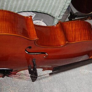 cello22