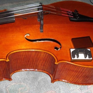 Cellotest4