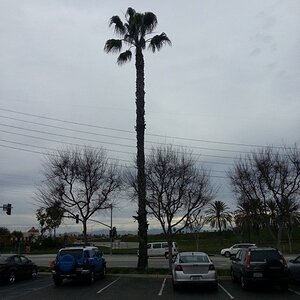 20130123 150459