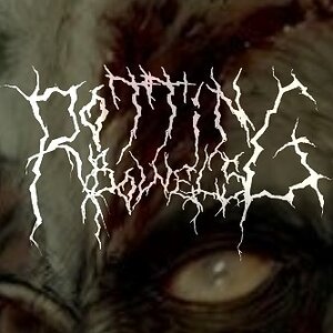 Albumcover front