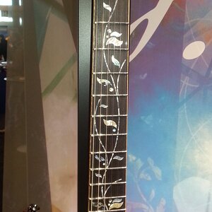 Ibanez j.custom Fretboard