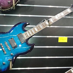 ESP Ltd Viper