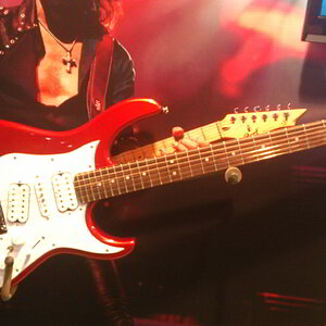 Cort Arena 1