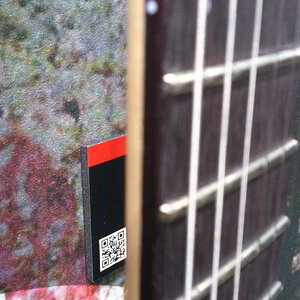 Bundstäbe der Ibanez S5470F